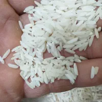 برنج طارم خوشپخت
