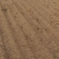 زمین‌مسکونی