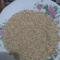 ارزن ایرانی|عمده‌فروشی|قنوات, |دیوار