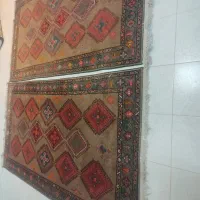 قالی پشم در پشم قدیمی ترکی دست بافت|فرش|شهرضا, |دیوار