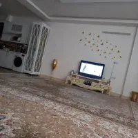 فروش فرش ۱۲ متری مشهدفرش|فرش|شاندیز, |دیوار