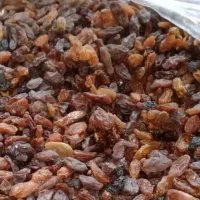 کشمش آفتابی کاشمر