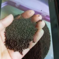 چای هندی باروتی کله مورچه ای وارداتی|خوردنی و آشامیدنی|تهران, ترمینال جنوب|دیوار