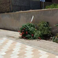 خونه ویلایی|اجارهٔ خانه و ویلا|گناباد, |دیوار