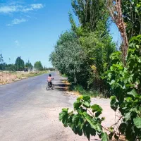 410 متر باغ 5 ساله پیشک /فاصله تا داخل شهر 500 متر