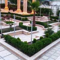 اجرای فضای سبز،روف گاردن،ودیوار سبز|خدمات باغبانی و درختکاری|ماسال, |دیوار