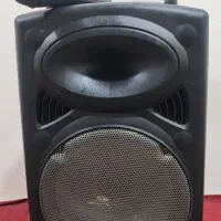 باند اکتیو چهارده اینچی (اسپیکر)|سیستم صوتی خانگی|خمیر, |دیوار