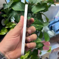 Iphone 13 cha|موبایل|شیراز, زند|دیوار