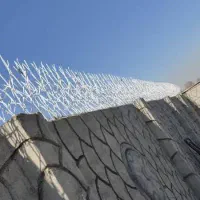 حفاظ شاخ گوزنی اکرمی|خدمات پیشه و مهارت|احمدآبادمستوفی, |دیوار