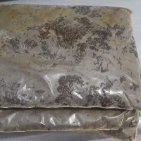 فروش انواع سبزی