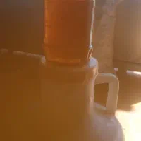عسل تظمینی به شرت میدم