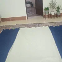 پرده سالم در حد نو