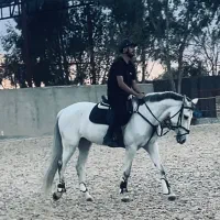 مادیون پرشی خارجی