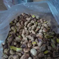 مغز پسته و پسته کله قوچی ارگانیک ۱۰۰٪|خوردنی و آشامیدنی|تهران, کرمان|دیوار