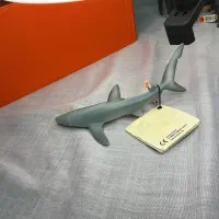 blue shark schleish|کلکسیون و سرگرمی|بندر انزلی, باغ زمانی|دیوار