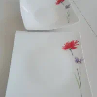 ظروف سرو وپذیرای