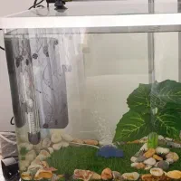 اکواریوم سالم در حد نو