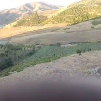 اجاره زمین کشاورزی