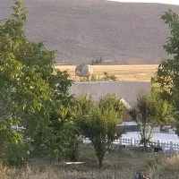 قطعه زمین کشاورزی|اجارهٔ دفتر صنعتی، کشاورزی، تجاری|سیدان, |دیوار