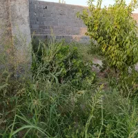 باغچه فروشی منجیل آباد|فروش زمین و ملک کلنگی|رباطکریم, منجیل آباد|دیوار