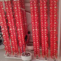 دستگاه جوجه کشی 96تایی|لوازم جانبی حیوانات|آبسرد, |دیوار