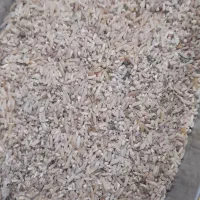 ضایعات برنج