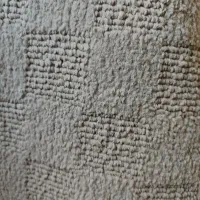 موکت پالاز موکت