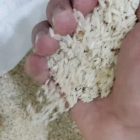 برنج عنبربو جنوب تبدیل تالش درجه 1|خوردنی و آشامیدنی|قم, شهرک امام حسین|دیوار