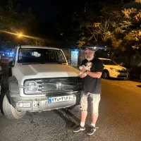 سگ پامرین فلت