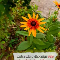منشی