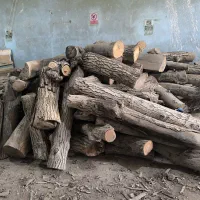 فروش تنه چوب گردو خشک کبریتی|عمده‌فروشی|خمینی‌شهر, |دیوار
