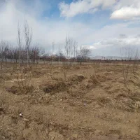 فروش-زمین-باغ