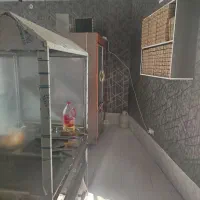 دارای 3 عدد میز یخچال فر شش کاره  ترازو میز کار|کافی‌شاپ و رستوران|شوط, |دیوار