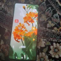 گوشی|موبایل|فلاورجان, |دیوار