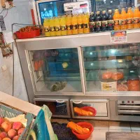 یخچال دومتری در حد