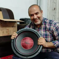 سیستم صوتی پالس