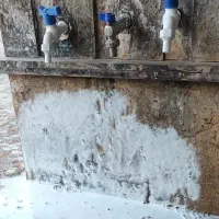 خدمات نظافتی ساختمان و مشاعات (پاکتور)|خدمات نظافت|قزوین, |دیوار