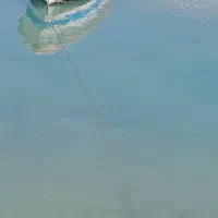 طعمه مرکب برای ماهیگیری