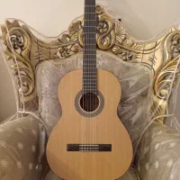 گیتار پالادو CG90
