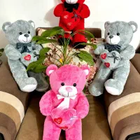 عروسک‌های زیبای سیمرغ|اسباب‌‌بازی|بابل, |دیوار