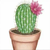 سلام لطفا جهت رفع تنهایی و ایجاد انگیزه راهنمایی