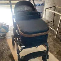 کالسکه کریر، صندلی ماشین و غذا