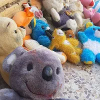 عروسک متنوع|اسباب‌بازی بچه|آبادان, |دیوار