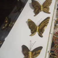 پروانه دکوری