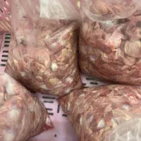 بار ریز سرخ