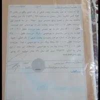 باغ با سند تک برگ داخل شهر بسطام امامزاده سی سر