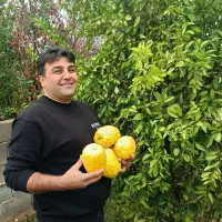 1000 متر باغ  آب تصویه .برق گاز . اقساط بلند مدت