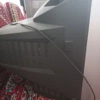 تلویزیون