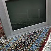 تلویزیون
