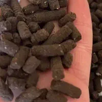 کمربند اکودا امرغی
